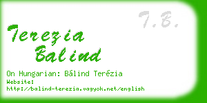 terezia balind business card